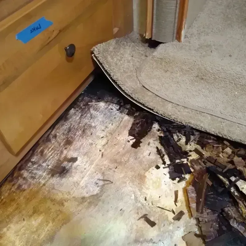 Best Wood Floor Water Damage Service in Gold Key Lake, PA